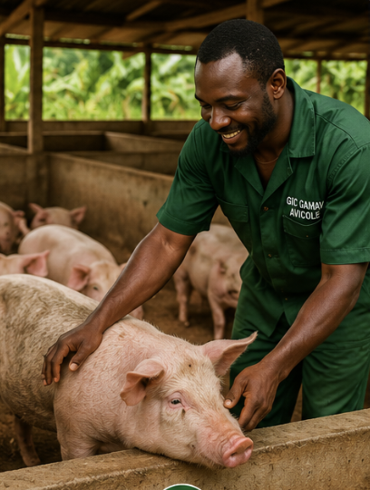 Livestock farming